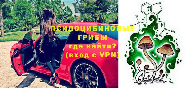 меф Богородицк