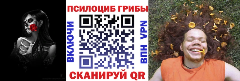 Галлюциногенные грибы прущие грибы  где можно купить   Ульяновск 